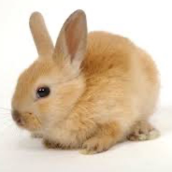 Meet your Posher, Zin - Picture 1 of 1